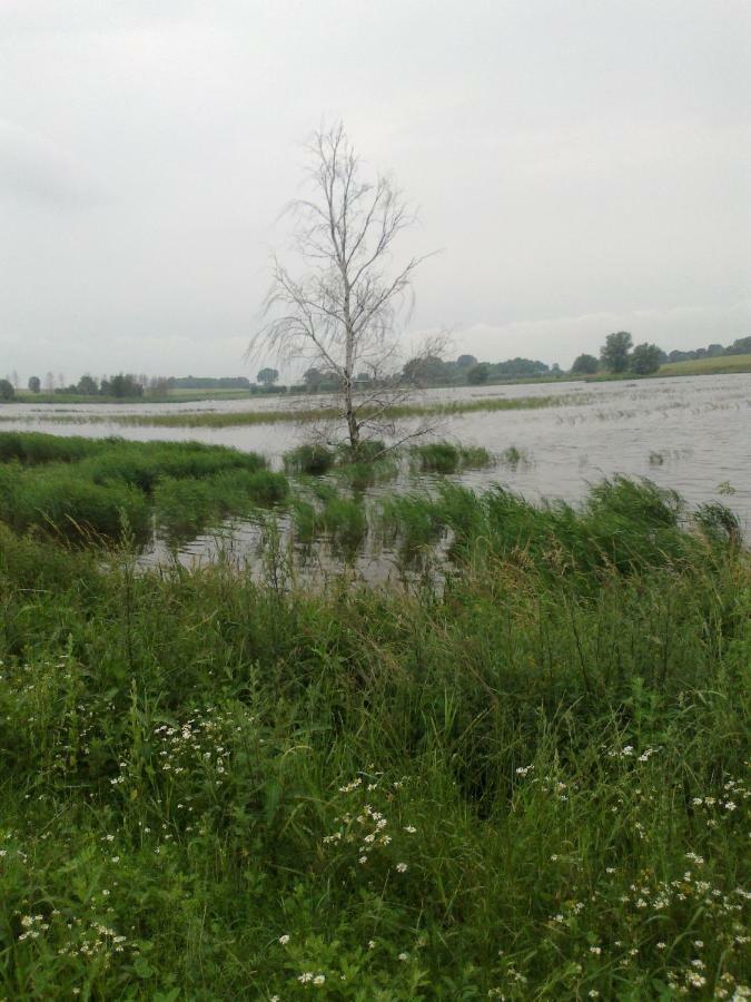 Apartments Zum Brauergang Garz  Kültér fotó