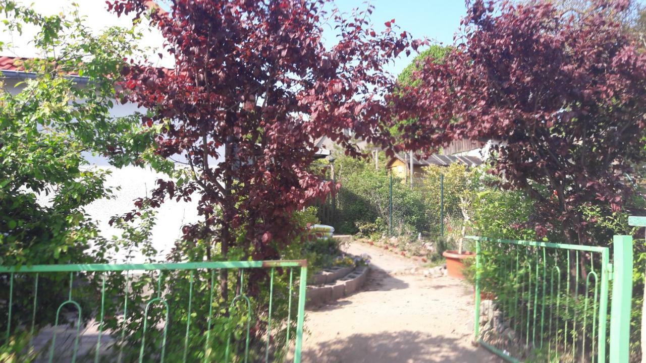 Apartments Zum Brauergang Garz  Kültér fotó
